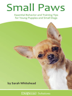 Small Paws: Essential Behavior and Training Tips for Young Puppies and Small Dogs - Dogwise Solutions