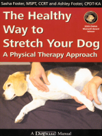THE HEALTHY WAY TO STRETCH YOUR DOG: A PHYSICAL THERAPY APPROACH