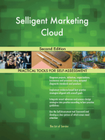 Selligent Marketing Cloud Second Edition