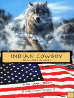 Indian Cowboy