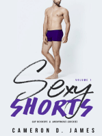Sexy Shorts: Gay Hookups and Anonymous Quickies: Volume One