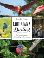 Louisiana Birding: Stories on Strategy, Stewardship & Serendipity