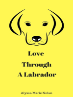 Love Through a Labrador