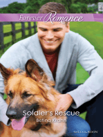 Soldier's Rescue