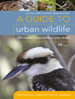 A Guide To Urban Wildlife