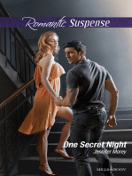 One Secret Night