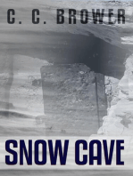 Snow Cave: Short Fiction Young Adult Science Fiction Fantasy