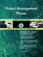 Project Management Phases Standard Requirements