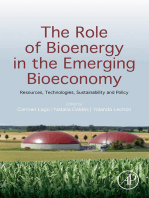 The Role of Bioenergy in the Emerging Bioeconomy: Resources, Technologies, Sustainability and Policy