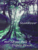 SeamRipper: Mer'edrynn - A World in Danger, #3