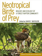 Neotropical Birds of Prey: Biology and Ecology of a Forest Raptor Community