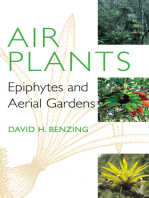 Air Plants: Epiphytes and Aerial Gardens