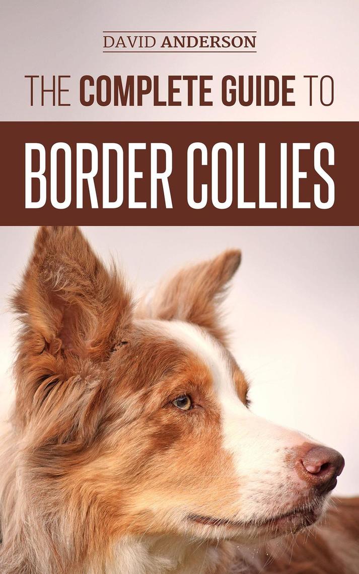 The Complete Guide to Border Collies: Training, Teaching, Feeding ...