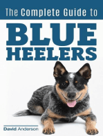 The Complete Guide to Blue Heelers - aka The Australian Cattle Dog. Learn About Breeders, Finding a Puppy, Training, Socialization, Nutrition, Grooming, and Health Care. Over 50 Pictures Included!