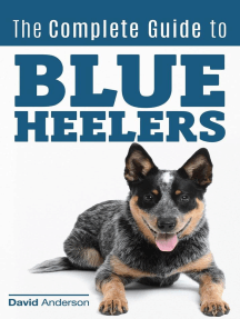 The Complete Guide To Blue Heelers Aka The Australian Cattle Dog Learn About Breeders Finding A Puppy Training Socialization Nutrition Grooming And Health Care Over 50 Pictures Included By David Anderson