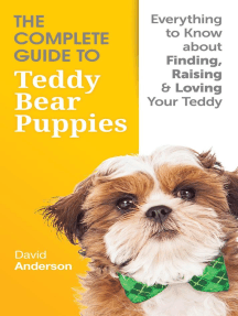 teddy bear puppies black river falls wi