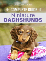 The Complete Guide to Miniature Dachshunds: A Step-by-Step Guide to Successfully Raising Your New Miniature Dachshund