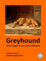 Greyhound. Breve saggio su una razza millenaria.