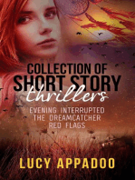 Collection of Short Story Thrillers Evening Interrupted The Dreamcatcher Red Flags