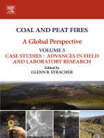 Coal and Peat Fires: A Global Perspective: Volume 5: Case Studies – Advances in Field and Laboratory Research