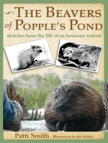 Read Auguries Of Innocence Online By Patti Smith Books