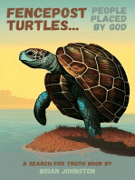 Fencepost Turtles - People Placed by God: Search For Truth Bible Series