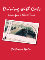 Driving with Cats: Ours for a Short Time
