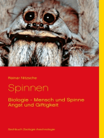 Spinnen: Biologie - Mensch und Spinne - Angst und Giftigkeit