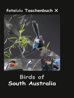 Birds of South Australia: fotolulu Taschenbuch X