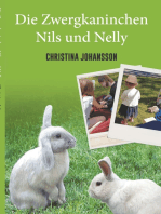 Die Zwergkaninchen Nils und Nelly