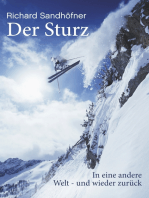 Der Sturz