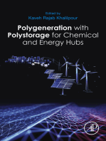Polygeneration with Polystorage: For Chemical and Energy Hubs