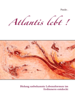 Atlantis lebt !: Bislang unbekannte Lebensformen im Erdinnern entdeckt