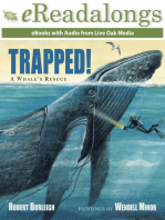 Trapped!: A Whale's Rescue