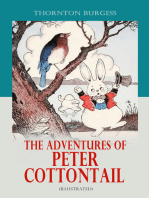 The Adventures of Peter Cottontail (Illustrated): Children's Bedtime Storybook