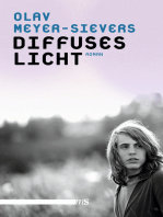 Diffuses Licht: Roman