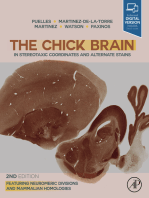 The Chick Brain in Stereotaxic Coordinates and Alternate Stains: Featuring Neuromeric Divisions and Mammalian Homologies