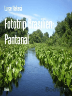 Fototrip Brasilien: Pantanal