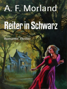 Reiter in Schwarz: Romantic Thriller