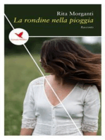 La rondine nella pioggia