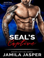 Seal's Captive: BWWM Captive Series, #1