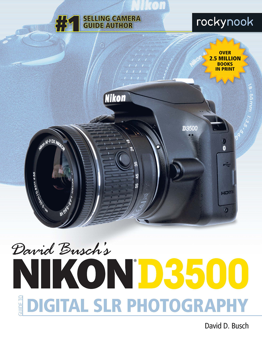 David Busch's Nikon D3500 Guide to Digital SLR Photography by
