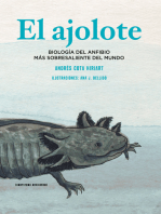 El ajolote: Biología del anfibio más sobresaliente del mundo