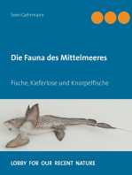 Die Fauna des Mittelmeeres: Fische, Kieferlose und Knorpelfische