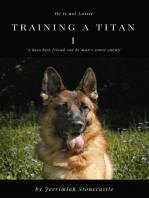 Training a Titan I