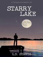 Starry Lake