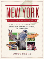 The New York Wildlife Encyclopedia: An Illustrated Guide to Birds, Fish, Mammals, Reptiles, and Amphibians