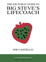 The Joe Public Guide To Big Steve's Lifecoach