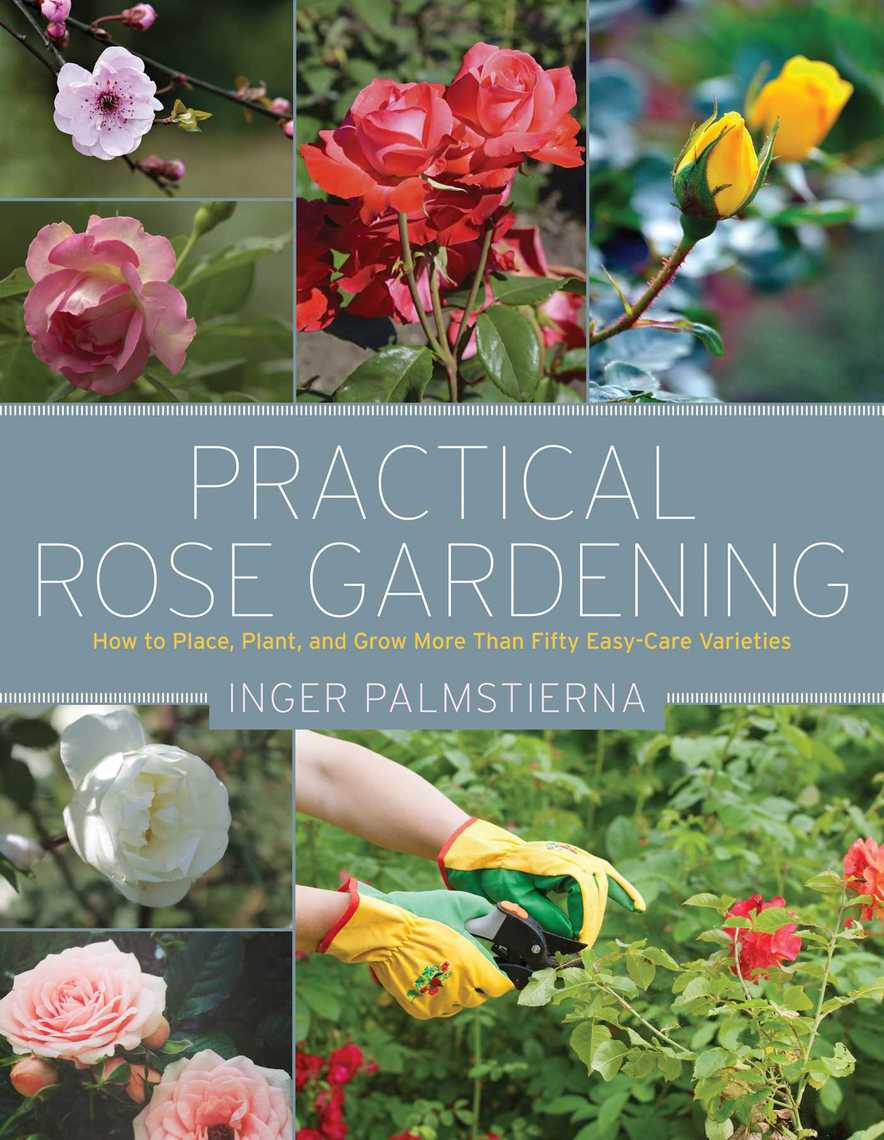 Read Practical Rose Gardening Online by Inger Palmstierna Books