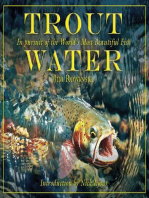 Trout Water: In Pursuit of the World's Most Beautiful Fish